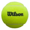 Wilson Padel Premier 3 Ball Topf