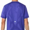 Camiseta Asics Road nahtloser Edelstahl Top Purpura