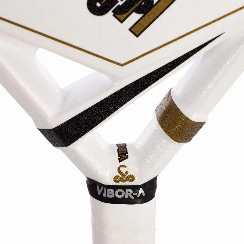 Pala Vibora Titan Ltd 2024