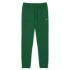 Lacoste Sport Elastische Hosen Grün