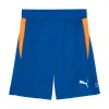 Puma Individual Blau Orange Shorts