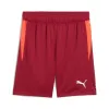 Puma Single Dunkelrot Shorts