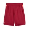 Puma Single Dunkelrot Shorts