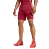 Puma Single Dunkelrot Shorts