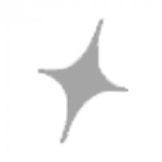 Raquetes de Padel STAR VIE | Loja Padelpoint