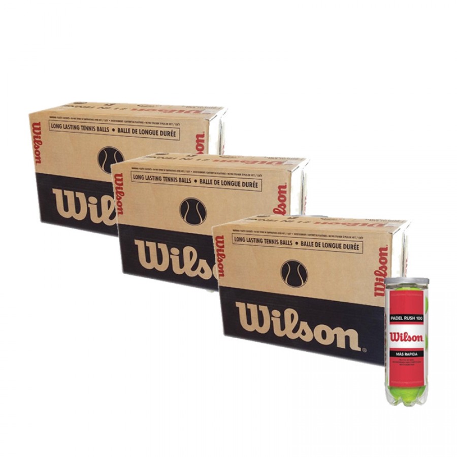 Scatola 72 Palline - 24 Contenitori da 3 pz - Wilson Rush 100 x 3 Unita