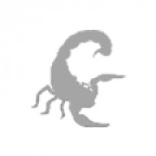 L’Homme Scorpion
