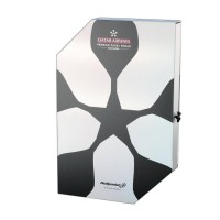 Pala Bullpadel Gemma Triay Elite Woman Tour Finals 25