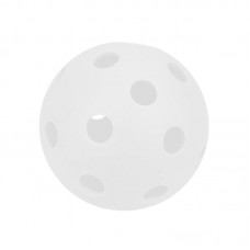École de pickleball Pelota École de pickleball Pelota